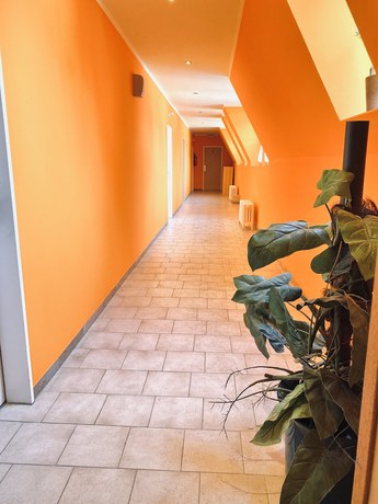 Imagen de los interiores del Hotel-Restaurant Auerhahn. Foto 20