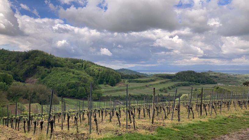 Imagen general del Hotel-Restaurant Rebstock. Foto 2