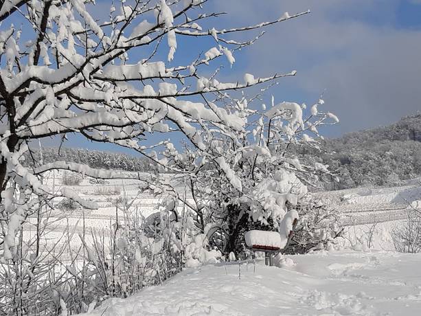 Imagen general del Hotel-Restaurant Rebstock. Foto 5