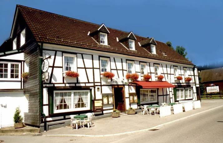 Imagen general del Hotel-Restaurant Zum Musikalischen Wirt. Foto 3