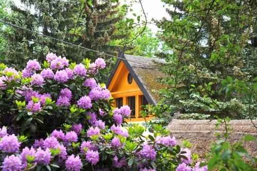 Imagen general del Hotelanlage Starick. Foto 3