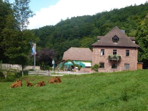 Imagen general del Hotelgasthof Buchenm&uuml;hle. Foto 6