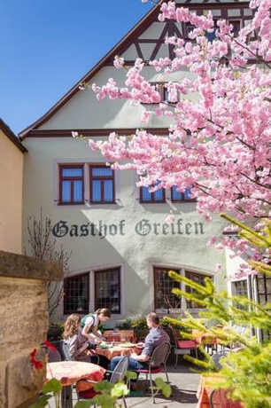 Imagen general del Hotel-gasthof Goldener Greifen. Foto 3