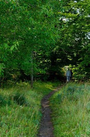 Imagen general del Hotell Lassalyckan. Foto 5