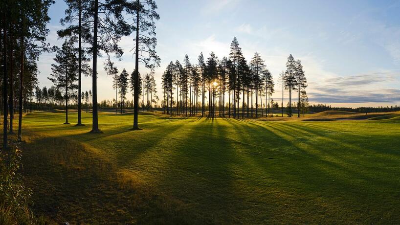 Imagen general del Hotelli Fennada. Foto 34