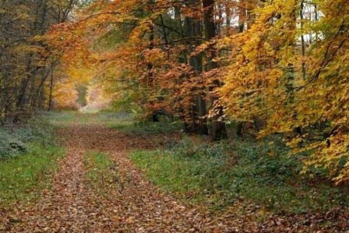 Imagen general del Hotel\'n. Foto 2