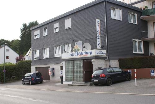 Imagen general del Hotel-pension Alt-heidenberg. Foto 4