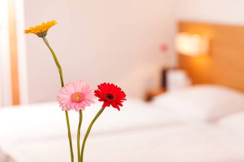 Imagen de la habitación del Hotel.pension.golingen. Foto 5