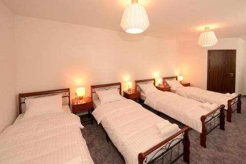 Imagen de la habitación del Hotel-s Kelman Nowa S&oacute;l. Foto 6