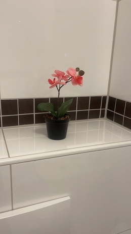 Imagen de la habitación del Hotelzimmer in Wesseling Br&uuml;hlerstr. Foto 8