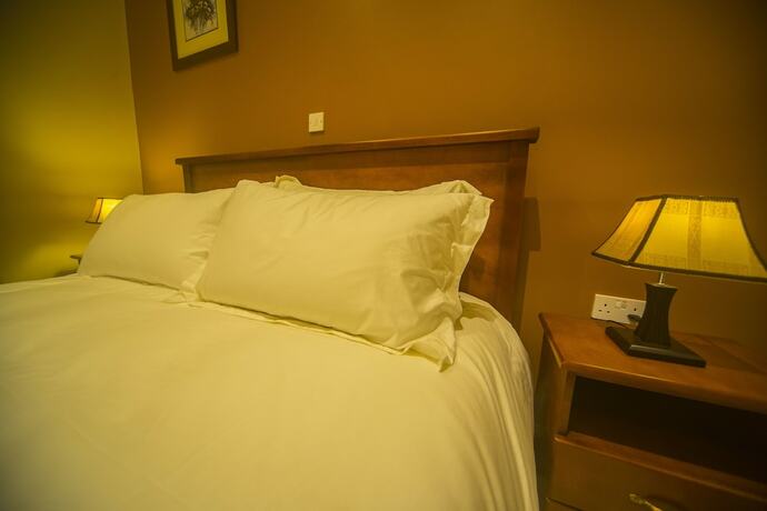 Imagen de la habitación del Hotspring Villas. Foto 20