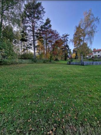 Imagen general del H&ouml;galid. Foto 12