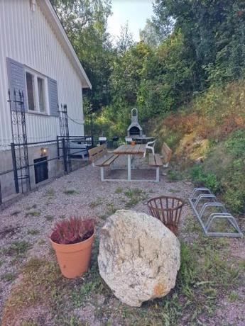 Imagen general del H&ouml;galid. Foto 15