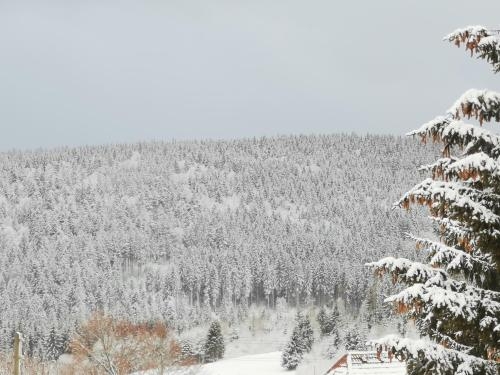 Imagen general del Höhengasthof Rössle. Foto 3