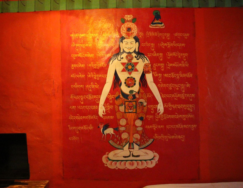 Imagen general del House Of Shambhala. Foto 16