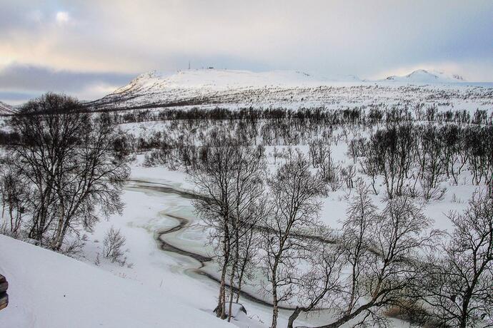 Imagen general del Hovden Fjellstoge. Foto 43