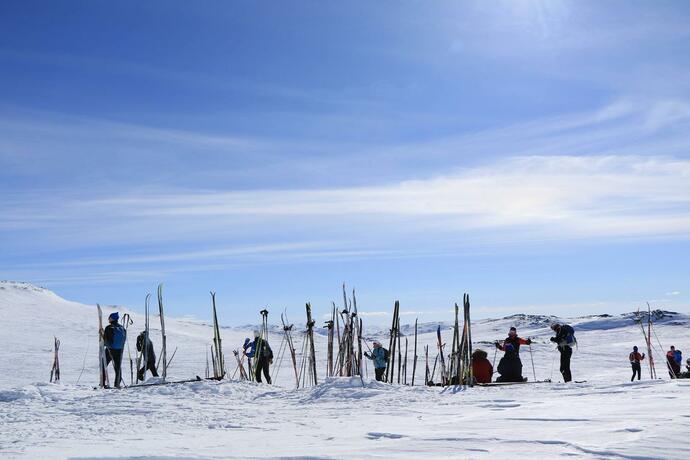 Imagen general del Hovden Fjellstoge. Foto 52