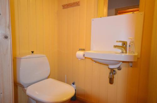 Imagen general del Hovden H&oslash;yfjellsenter. Foto 2