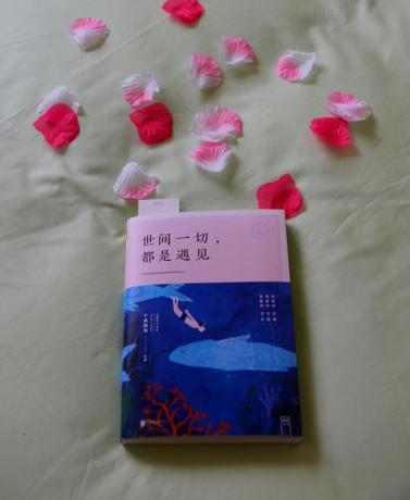 Imagen de la habitación del Huangshan Xun Mi Times Hotel. Foto 6