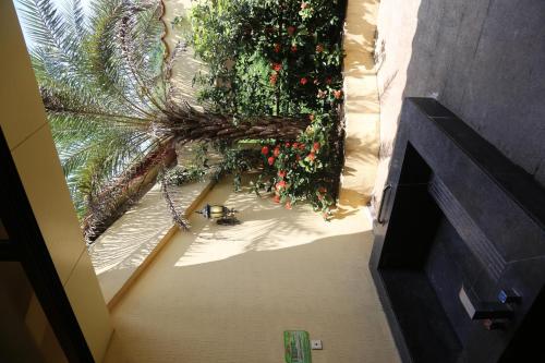 Imagen general del Huizhou Nankun Mountain Yunding Spa Resort. Foto 3