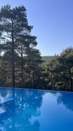 Imagen general del Hukoy Doga Oteli - Bungalov. Foto 9