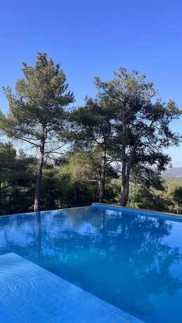 Imagen general del Hukoy Doga Oteli - Bungalov. Foto 17