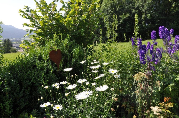 Imagen general del Hutmann. Foto 14