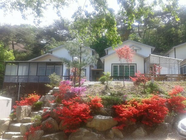 Imagen general del Hwangto-green Village. Foto 9