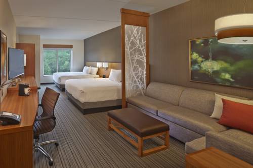 Imagen de la habitación del Hyatt Place Chapel Hill. Foto 2