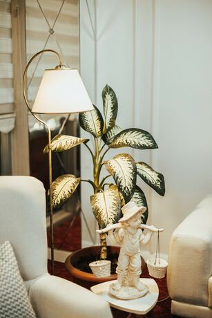 Imagen general del Ibba Boutique Hotel. Foto 13
