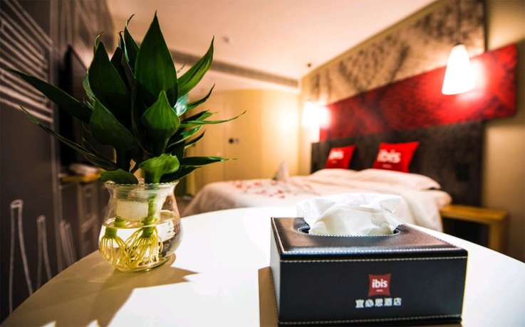 Imagen de la habitación del Ibis E'meishan Railway Station Hotel. Foto 12