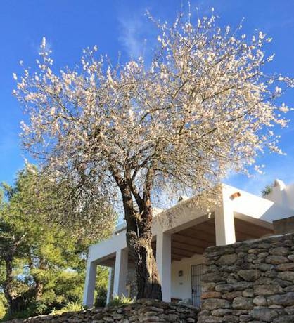 Imagen general del Ibiza Mansion. Foto 4