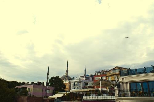 Imagen general del Ida Hotel. Foto 11