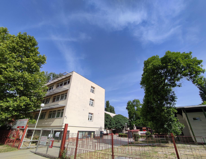 Imagen general del Ifj&uacute;s&aacute;gi Sz&aacute;ll&oacute; &eacute;s Kemping. Foto 1