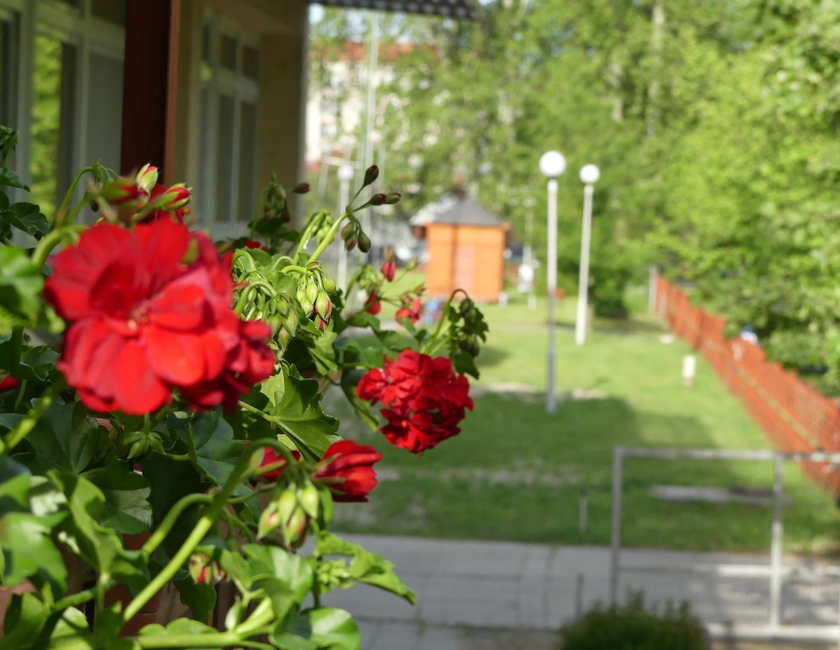 Imagen general del Ifj&uacute;s&aacute;gi Sz&aacute;ll&oacute; &eacute;s Kemping. Foto 3