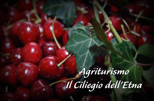 Imagen de la habitación del Il Ciliegio Dell 'etna. Foto 16