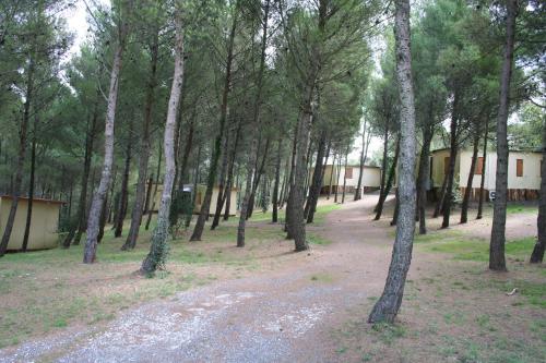 Imagen general del Il Doccino. Foto 1