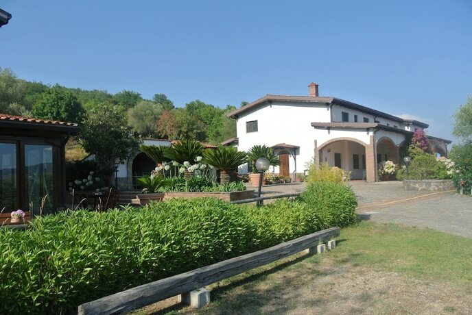 Imagen general del Il Forno Antico. Foto 9