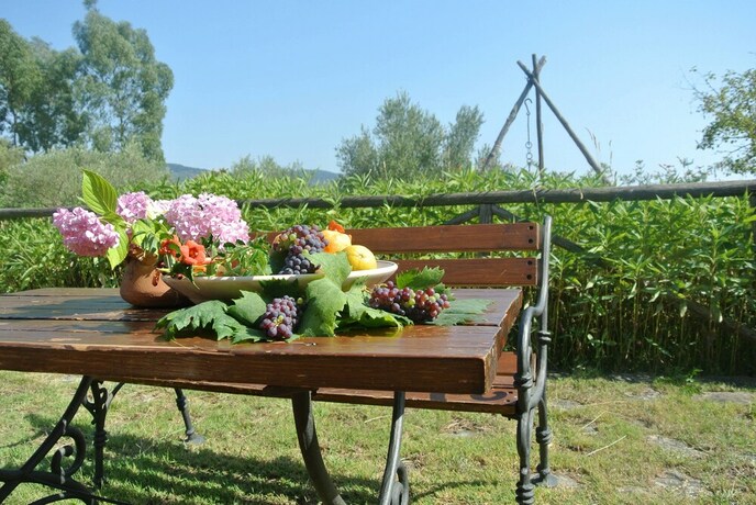 Imagen general del Il Forno Antico. Foto 13