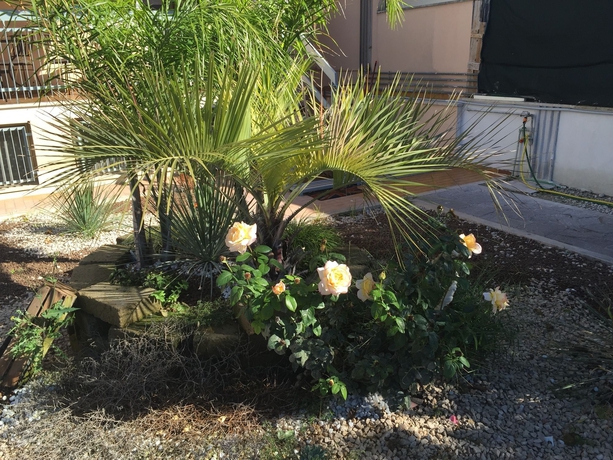 Imagen de los exteriores del Il Giardino Di Adriana. Foto 15