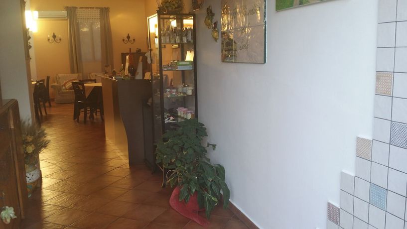 Imagen de los interiores del Il Giardino del sole. Foto 13