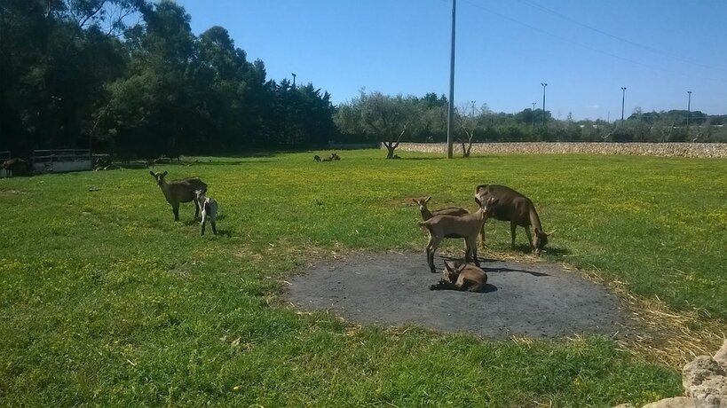 Imagen general del Il Venticello Agriturismo. Foto 6