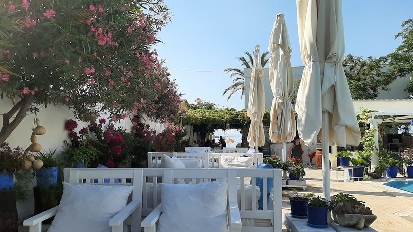 Imagen de los exteriores del Ilgin Hotel Ortakent. Foto 10