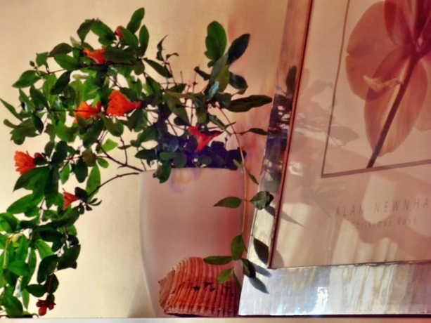 Imagen de la habitación del Ilios Studios. Foto 14