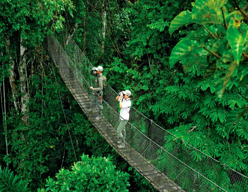 Imagen general del Inkaterra Reserva Amazonica, Puerto Maldonado. Foto 5