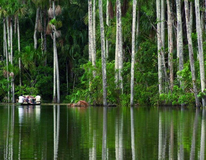 Imagen general del Inkaterra Reserva Amazonica, Puerto Maldonado. Foto 6