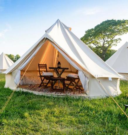 Imagen de la habitación del IntentsGP @ Isle of Man TT, IOMTT. Foto 7