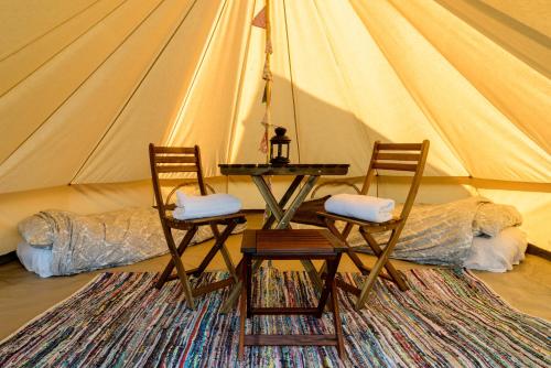 Imagen general del IntentsGP @ Isle of Man TT, IOMTT. Foto 4