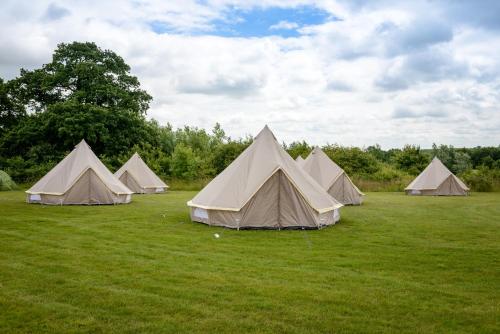 Imagen de la habitación del IntentsGP @ Isle of Man TT, IOMTT. Foto 8