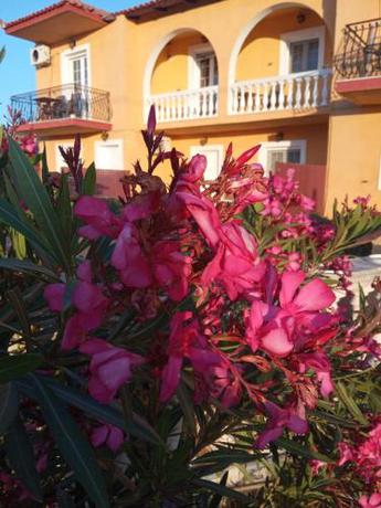 Imagen general del Ionian residence, Lassi. Foto 14